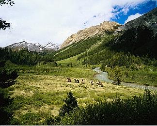 塔防建造《Thronefall》登陆Steam 首发特惠促销