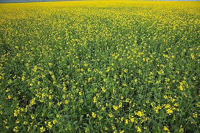 Wegame2023：《无畏契约》国服现已开启预约