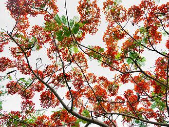 《与狼同行2》跳票到2024年 换用虚幻5需要大量工作